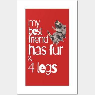 Dogs, My Best Friend Has Fur And Four Legs Posters and Art